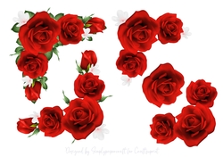 Rose Vignette Step by Step 7
