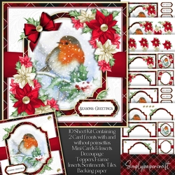 Tartan Christmas Robin Mini Kit 3