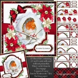 Tartan Christmas Robin Mini Kit 4
