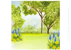 Bluebell Garden