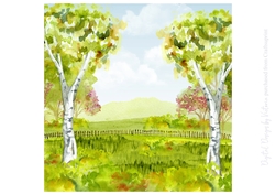 The Meadow