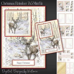 Christmas Reindeer 7x5 Mini Kit