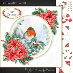 Little Robin Red Breast 1