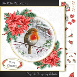 Little Robin Red Breast 2