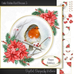 Little Robin Red Breast 3