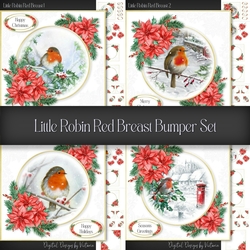 Little Robin Red Breast Bumper Set