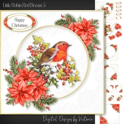 Little Robin Red Breast 5