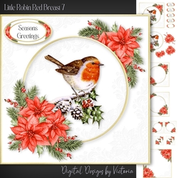 Little Robin Red Breast 7