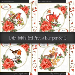 Little Robin Red Breast Bumper Set 2