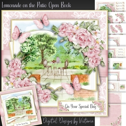 Lemonade on the Patio Open Book