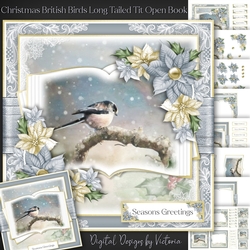 Christmas British Birds Long Tailed Tit Open Book