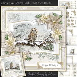 Christmas British Birds Owl Open Book