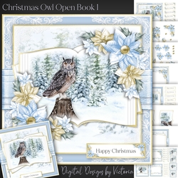Christmas Owl Open Book 1