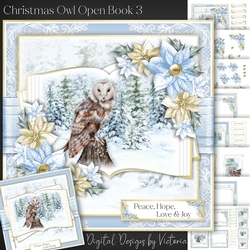 Christmas Owl Open Book 3