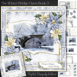 The Winter Bridge Open Book 3