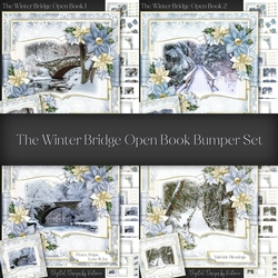 The Winter Bridge Open Book Bumper Set