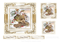 Sweet Hedgehog No.1