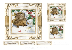 Sweet Hedgehog No.3