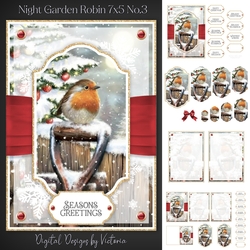 Night Garden Robin 7x5 No.3