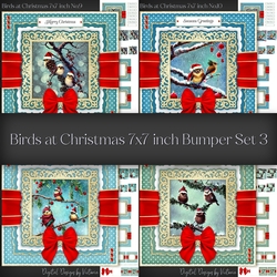 Birds at Christmas 7x7 inch Bumper Set 3