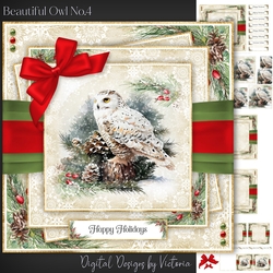 Beautiful Owl No.4
