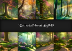 Enchanted Forest No.9-16
