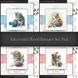 Kitten with Wool Bumper Set No.1