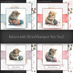 Kitten with Wool Bumper Set No.2
