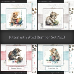 Kitten with Wool Bumper Set No.3