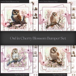Owl in Cherry Blossom Bumper Set