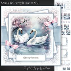 Swans in Cherry Blossom No.1