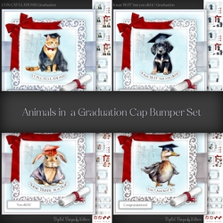 Animals in a Graduation Cap Bumper Set