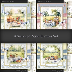 A Summer Picnic Bumper Set