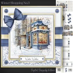 Winter Shopping No.3