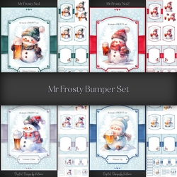 Mr Frosty Bumper Set