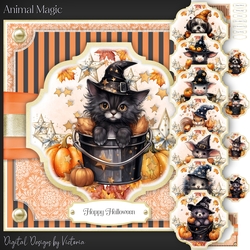 Animal Magic