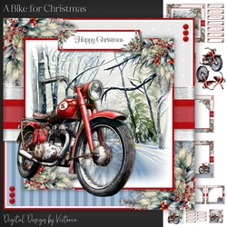 A Bike for Christmas