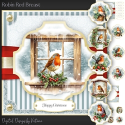 Robin Red Breast
