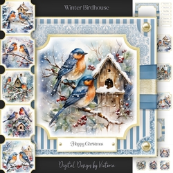 Winter Birdhouse
