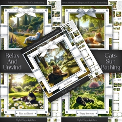 Relax and Unwind, Cats Sunbathing Bumper Set