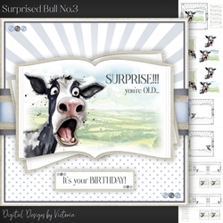 Surprised Bull No.3