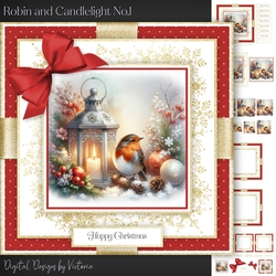 Robin and Candlelight No.1