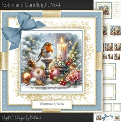 Robin and Candlelight No.4