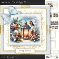 Robin and Candlelight No.6