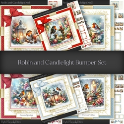 Robin and Candlelight Bumper Set
