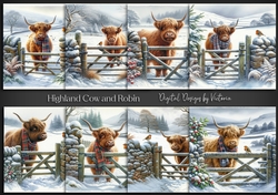 Highland Cow and Robin