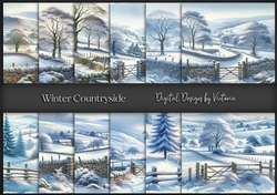 Winter Countryside