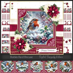 Robin Red Breast