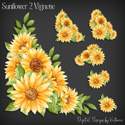 Sunflower 2 Vignette