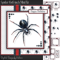Spider